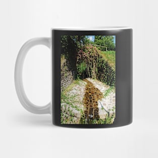 Flowery Bridge with Stream Mug